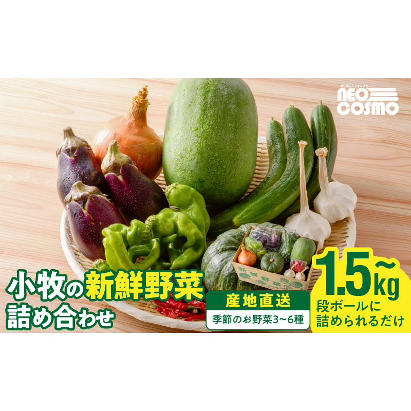ネオコスモ農園で採れた小牧の野菜詰め合わせ［124N01］