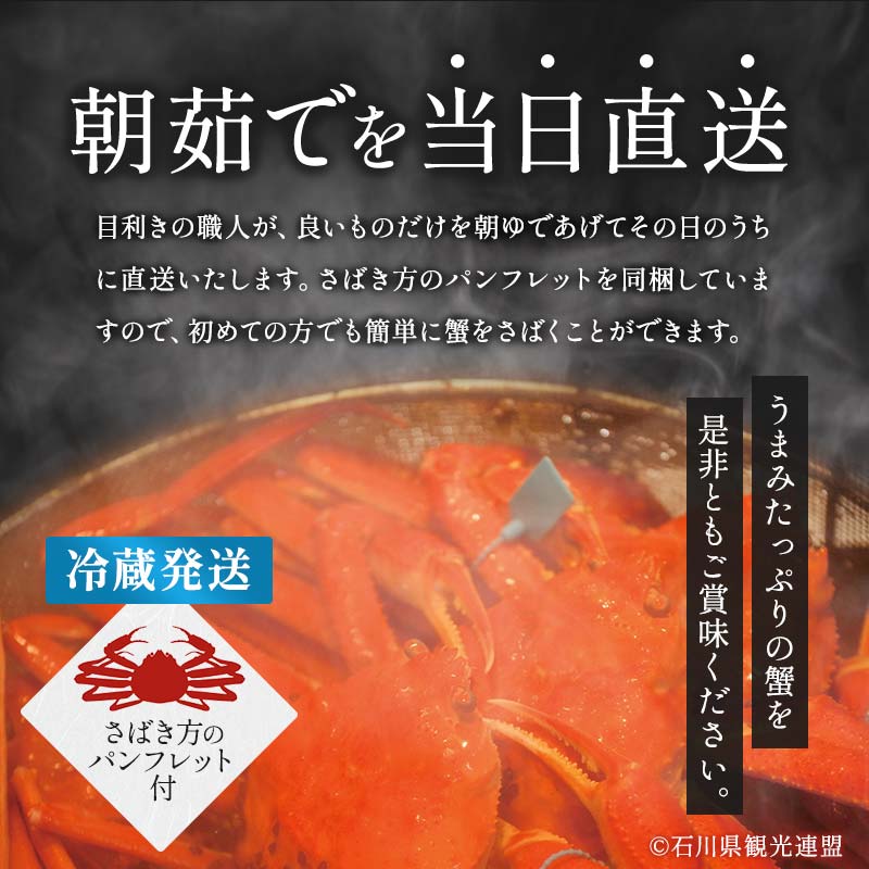 朝茹で加能ガニ姿1杯入り 蟹 かに ズワイガニ グルメ 海産物 贈り物 加賀 F6P-3185