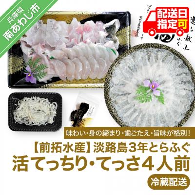 ふるさと納税 南あわじ市 【冷蔵配送】淡路島3年とらふぐ(活てっちり・てっさ4人前)◆配送期間10月25日〜3月31日