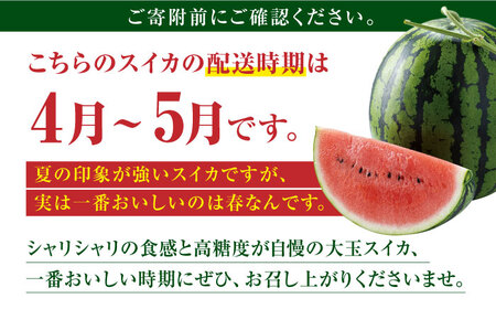 【先行予約】大玉 すいか LLサイズ【株式会社 前田ファーム】[ZCM002]