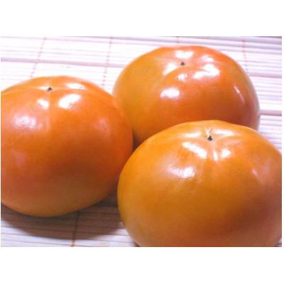 ふるさと納税 御坊市 富有柿 3.5kg(13〜17個)和歌山産 |  | 01