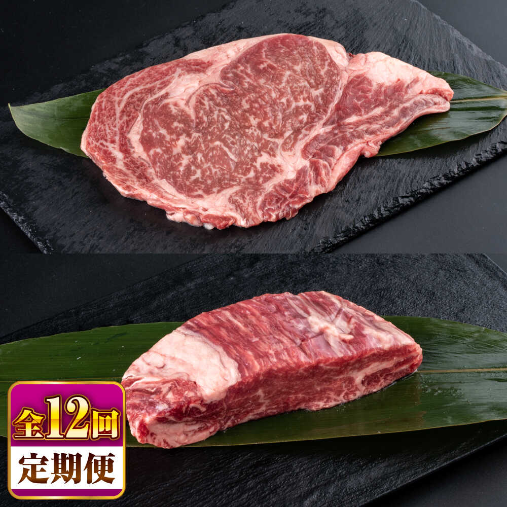 【ふるさと納税】【全12回定期便】熊本県産 あか牛 ステーキ用ヒレ肉(約600g)、ロース肉(約800g) 計約1.4kg / 牛肉 セット 国産 熊本県産 食べ比べ あか牛 赤牛 冷凍 お土産 豪華 贅沢 ご褒美 お祝い 人気 おもてなし 晩ご飯 【合同会社 たべたせいか】[BHBY031]