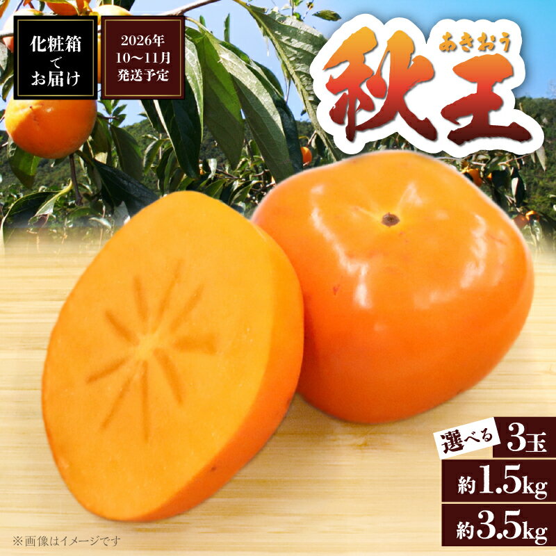 【ふるさと納税】【選べる内容量】【2026年10〜11月発送】秋の贅沢、濃厚であま〜い柿の新ブランド「秋王」3玉 約1.5kg 約3.5kg ＜配送不可：北海道・沖縄・離島＞ 柿 フルーツ 秋の味覚 濃厚 サクサク 大玉 福岡県 八女市
