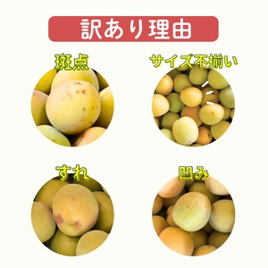 南高梅 約5kg (＋補償100g)【訳あり】完熟  サイズ不揃い カキエモン農園【BX-kkem019A】