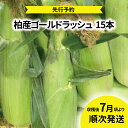 【ふるさと納税】【先行予約】【2025年7月発送】 とうもろこし ゴールドラッシュ 15本 野菜 トウモロコシ コーン 国産 千葉県産 柏市産 予約 おいしい プレゼント 贈り物 お取り寄せ 取り寄せ おすすめ おススメ 大量 バーベキュー BBQ 産地直送