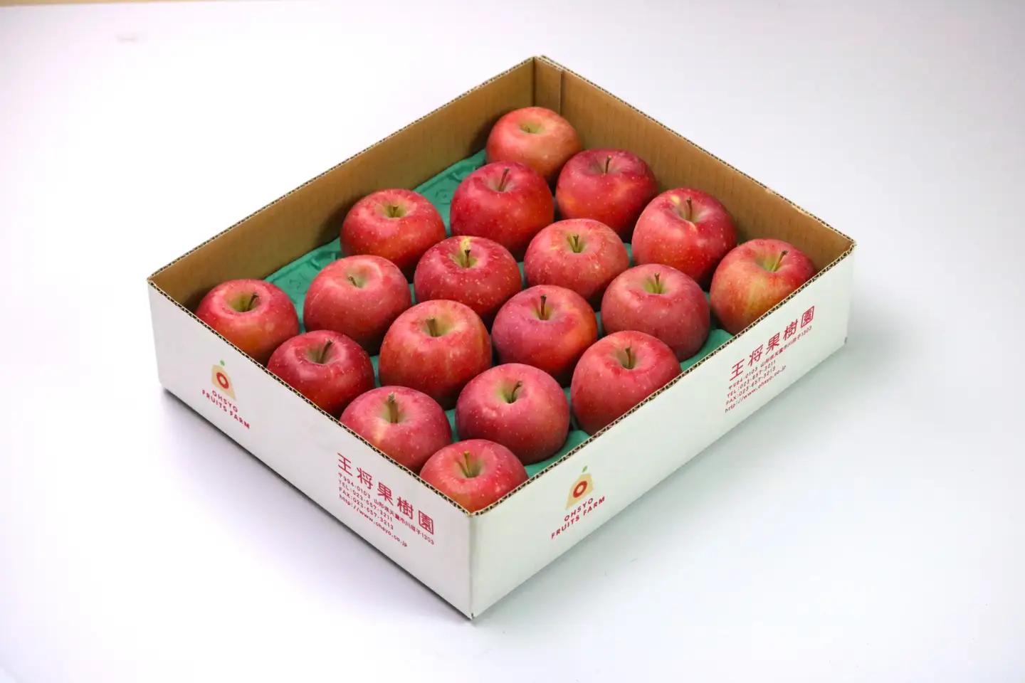 りんご サンふじ 5kg フルーツ 果物 りんご