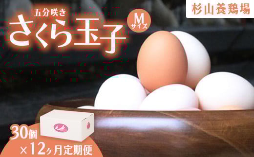 
【定期便12ヵ月】純国産鶏さくらちゃんが産んだ桜色のさくら玉子 五分咲き（Mサイズ）30個 ｜ 卵 鶏卵 たまご タマゴ 生卵 たまごかけご飯 濃厚 甘み 国産
