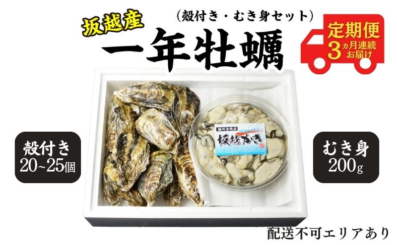  定期便 牡蠣 坂越かき 生食用 殻付き ＋ むき身 セット 牡蠣ナイフ付き（殻付き20個～25個＋むき身200g）【12月～2月(3ヶ月連続)お届け】 冬牡蠣 かき カキ