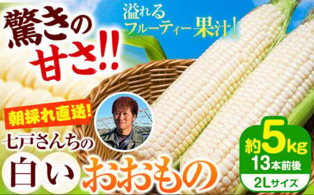 朝採れ直送！ とうもろこし 白いおおもの 甘い 約5kg 13本入り 2Lサイズ 七戸宏大《7月下旬-8月下旬出荷》岩手県 九戸村 ホワイトコーン 白いとうもろこし おおもの 5kg スイートコーン