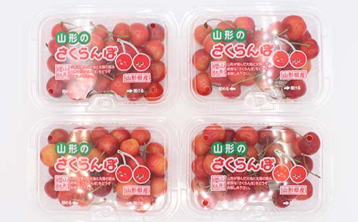 さくらんぼ紅秀峰 約800g(200g×4p) L 秀 果物 くだもの フルーツ 夏果物 サクランボ F4A-0952