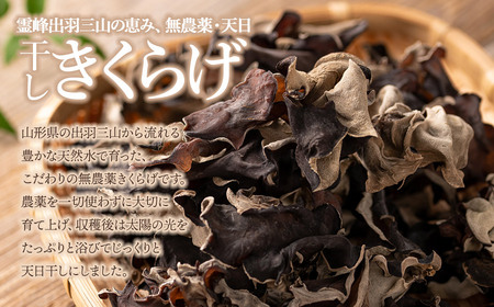 羽黒産 乾燥キクラゲ 60g(12g×5)　山形県鶴岡市 農事組合法人 庄内おばこ農場 K-710
