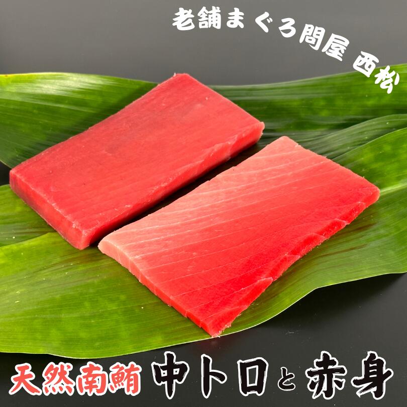 【ふるさと納税】 南鮪 400g 創業以来130年 三崎港 老舗問屋 西松 厳選 まぐろ マグロ 鮪 赤身 中トロ 南まぐろ インドまぐろ 問屋直送 刺身 ブロック 魚 魚介 詰合せ 詰め合わせ セット ボリューム 三崎まぐろ 冷凍 神奈川県 三浦市 おすすめ ランキング プレゼント ギフト