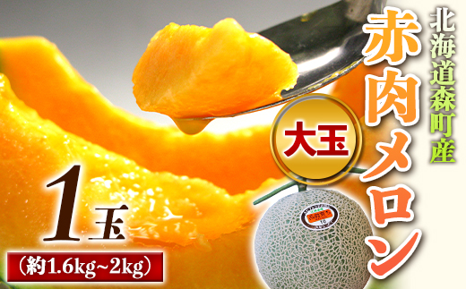 【先行予約】北海道森町産赤肉メロン大玉 1玉（約1.6～2kg）（2025年6月上旬～8月上旬頃順次発送）＜道産ネットミツハシ＞  森町 メロン 果物 赤肉 北海道産 ふるさと納税 北海道 mr1-0815
