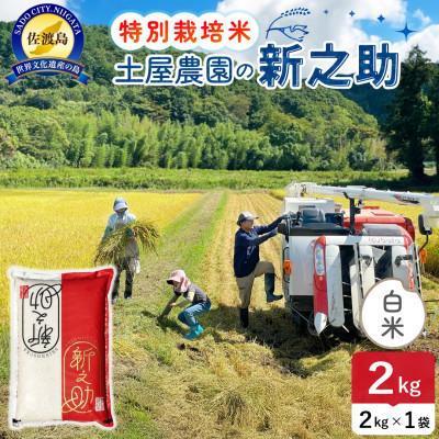 ふるさと納税 佐渡市 令和7年産 佐渡島産 新之助 白米2kg 土屋農園 栽培期間中農薬・化学肥料5割減