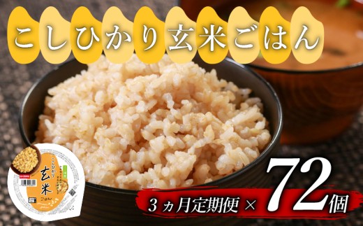 定期便 3回 こしひかり 玄米ごはんパック 160g 72個 玄米 米 ごはん ご飯 こめ パックライス パックご飯 パックごはん ご飯パック ごはんパック パック ライス 備蓄 保存 非常 防災 電子 レンジ 温めるだけ レンチン 健康 ダイエット 美容 ヘルシー レトルト インスタント おいしい 人気 おすすめ 72 72食 おくさま印 人気の玄米ご飯パック 美味しい玄米ご飯パック 大阪 松原