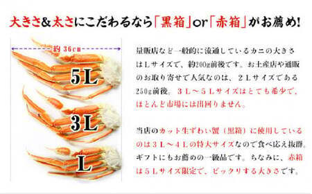 [12月26日～12月31日着(指定日不可)]年内お届け先行予約受付中！[024-c019-0] 【お刺身OK】生ずわい蟹ポーション1kg （総重量1.3kg）【甲羅組 ずわい蟹 ずわいガニ ズワイガ