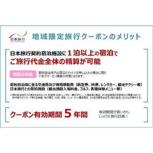 静岡県静岡市　日本旅行　地域限定旅行クーポン90,000円分