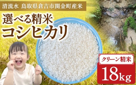 コシヒカリ 18kg（クリーン精米）令和7年産 新米 お米 米 こめ コメ こしひかり コシヒカリ ご飯 ごはん 鳥取県 倉吉市産