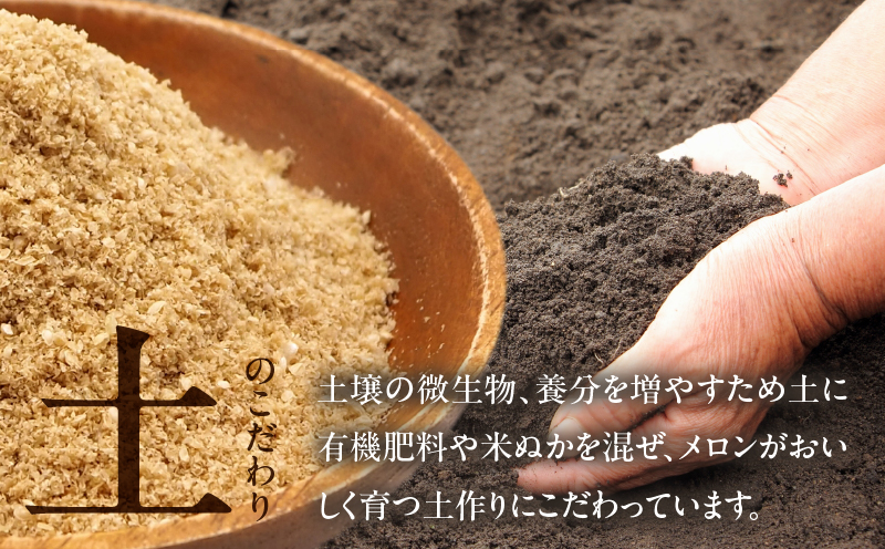 先行予約≪期間限定≫hiro君ハウスのアールスメロン(赤肉)計3kg以上(化粧箱入り) フルーツ 果物 国産_T022-0011