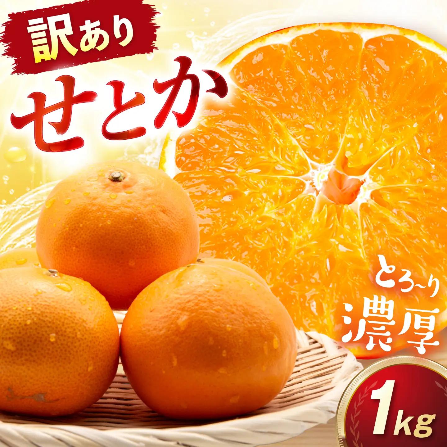みかん 訳あり せとか 約1kg サイズ不揃い みかん BJAZ021 