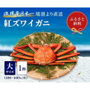 【ふるさと納税】【蟹セレブ】ズワイガニ（紅ズワイガニ）大1杯（500～600g×1） | 蟹 魚介類 水産 食品 人気 おすすめ 送料無料