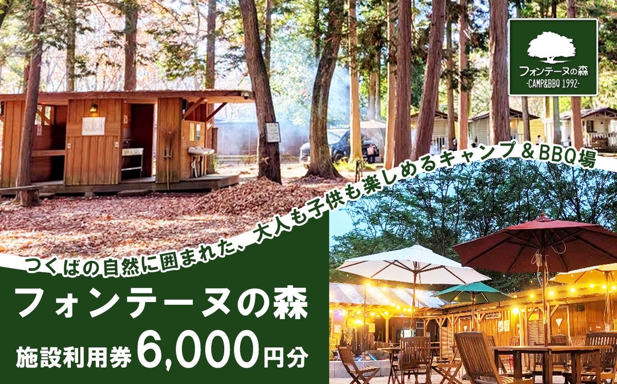キャンプ&バーベキュー「フォンテーヌの森」 施設利用券 6,000円分【 キャンプ 宿泊 体験 体験型 バーベキュー アウトドア BBQ 夏休み GW 子供 家族 お出かけ 茨城県 つくば市 】
