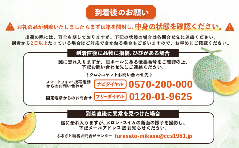 《2025年分受付中》大玉！とろける食感の北海道三笠メロン2玉入(3.2kg以上)【0106201】_イメージ5