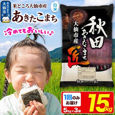 ふるさと納税 大仙市 米 あきたこまち【白米】15kg 令和7年産|22_snk-011501