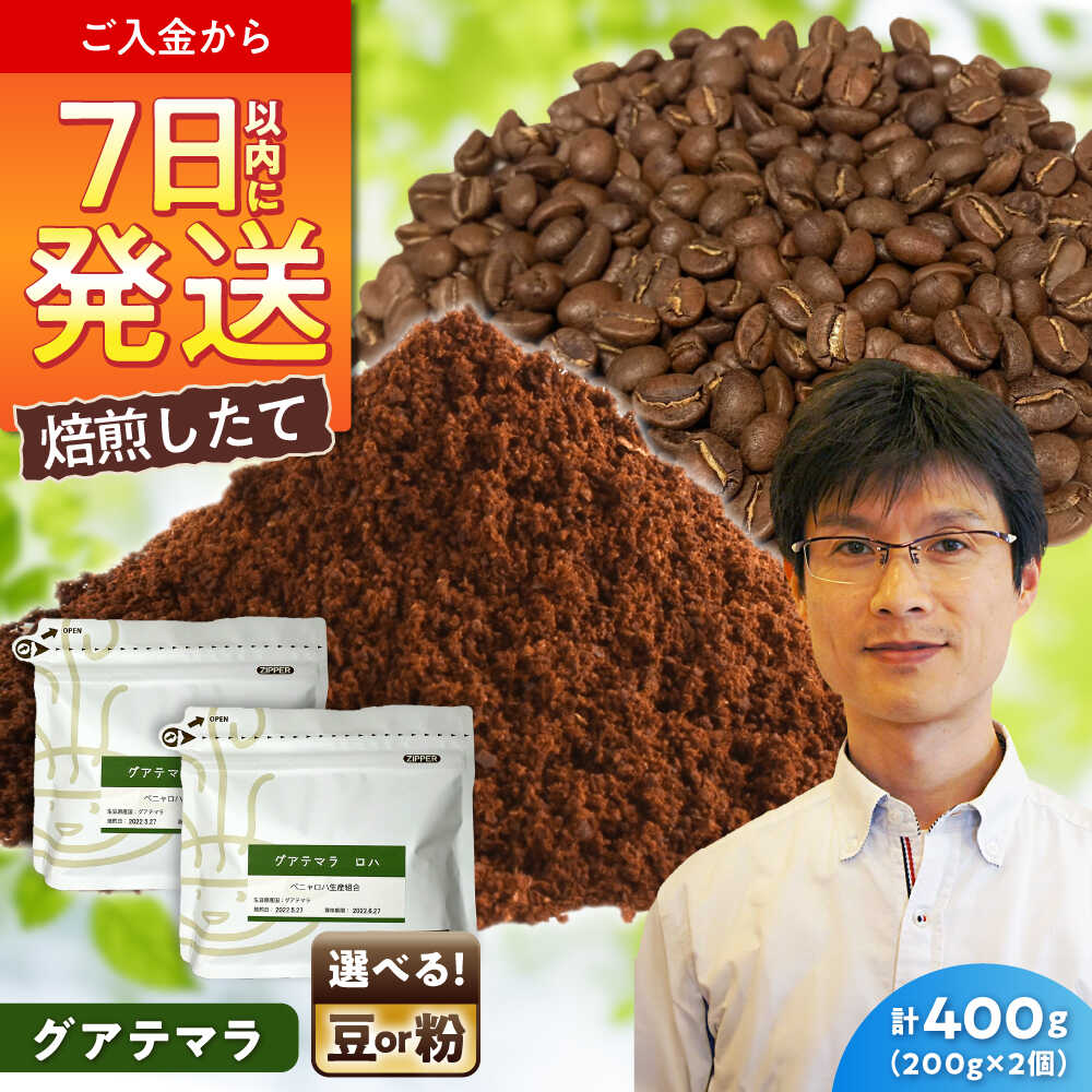 【ふるさと納税】グアテマラコーヒー ロハ　200g×2 / 珈琲 コーヒー グアテマラ / 瀬戸市 / Coffee　SAKURA[BBAB132]