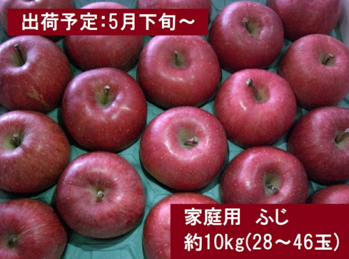 5～6月家庭用ふじ 約10kg（28～46玉）