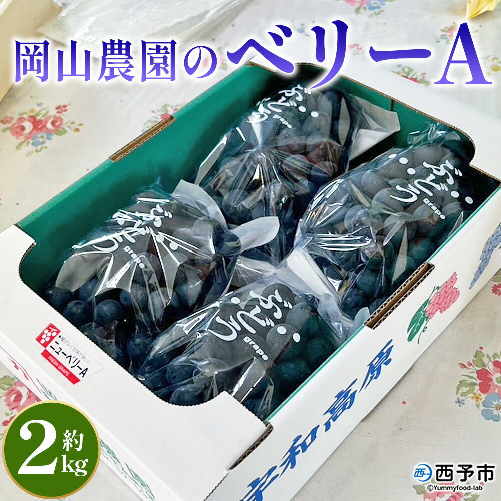 【ふるさと納税】＜ベリーA 約2kg＞果物 くだもの フルーツ 葡萄 ブドウ やわらかい 果実 青果 やさしい甘さ 甘い あまい 贈り物 贈答 ギフト 岡山農園 愛媛県 西予市【冷蔵】『2026年8月中旬～9月下旬迄に順次出荷予定』
