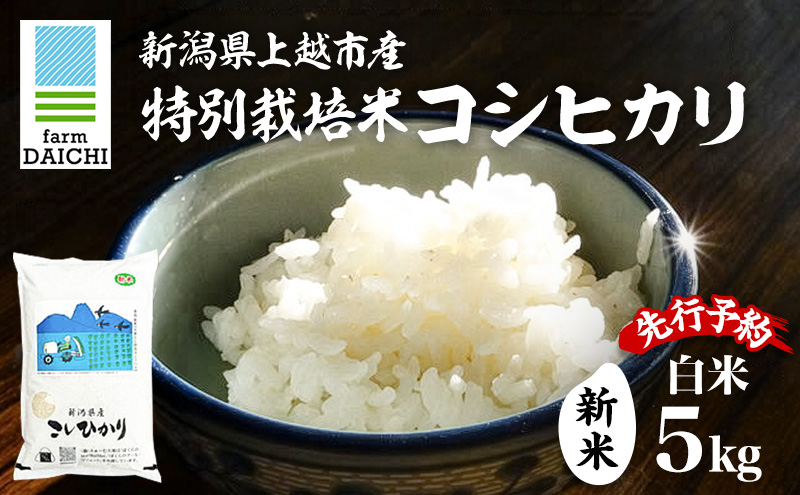 先行予約 令和8年 新米 新潟県上越市産 特別栽培米 コシヒカリ 5kg 5キロ お米 コメ こしひかり ふぁーむ大地