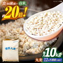 【ふるさと納税】【全12回定期便】 長崎県産 丸麦 10kg / 麦 むぎ 雑穀 雑穀米 麦ごはん 麦飯 麦みそ 食物繊維 長崎県産 米 こめ コメ ※ / 諫早市 / 有限会社伊東精麦[AHBU008]