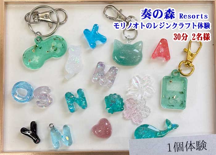 【ふるさと納税】静岡県伊東市 奏の森リゾート 奏の森Resorts内モリノオトのレジンクラフト体験30分(2名様)