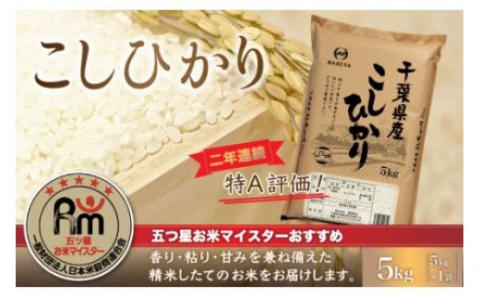 令和6年産 2年連続特A評価!千葉県産コシヒカリ5kg（5kg×1袋） E006