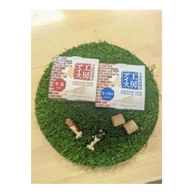 ふるさと納税 江別市 【北海道江別市】冷凍グラタン2個&カップアイス(牛乳、ヨーグルト)各3個 |  | 01