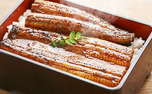 〈鰻大好き定期便〉うなぎ蒲焼き≪大≫（160g x 3本）12カ月セット ／Resu-06