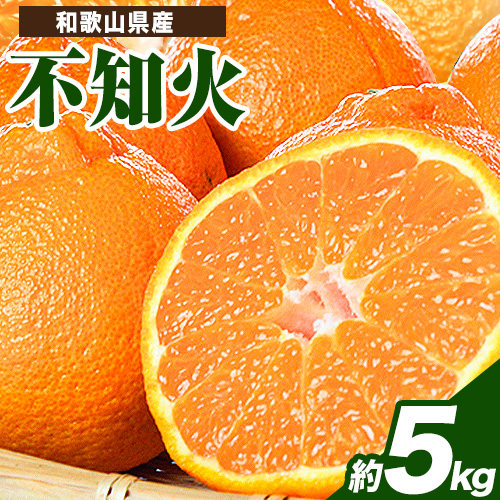 【先行予約】紀州有田産不知火(しらぬひ) 約5kg 株式会社魚鶴《2026年2月上旬-3月中旬頃出荷》 和歌山県 日高町 不知火 しらぬい 柑橘