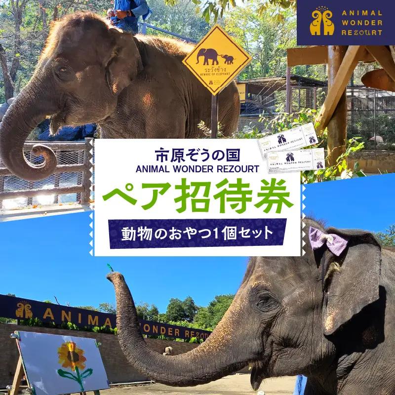 入園チケット 市原 ゾウの国 ペア 招待券 市原市 入場券 チケット