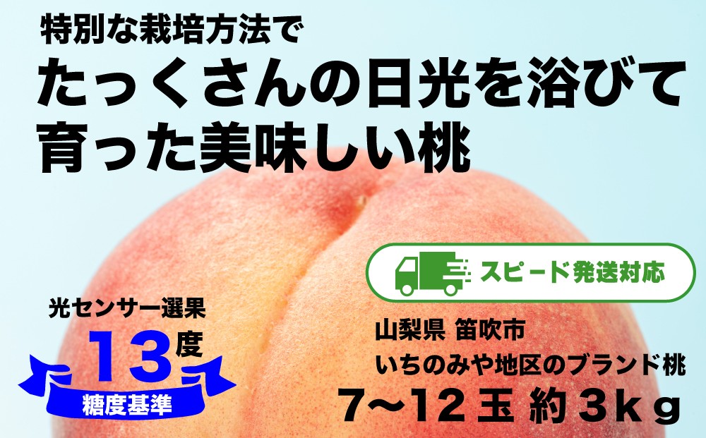 
                  2026年スピード配送対応【糖度13度基準】いちのみやの桃 7～12玉 約3kg ＜扇状地・Y字栽培＞肥沃な大地と沢山の日光で育った桃【バイパス清果園】産地直送 山梨県 笛吹市 一宮 果物 フルーツ 新鮮 有機 国産 高級 美味しい 人気 おすすめ 贈答 ギフト  ピーチ もも モモ 数量限定 期間限定 206-002-oya
                
