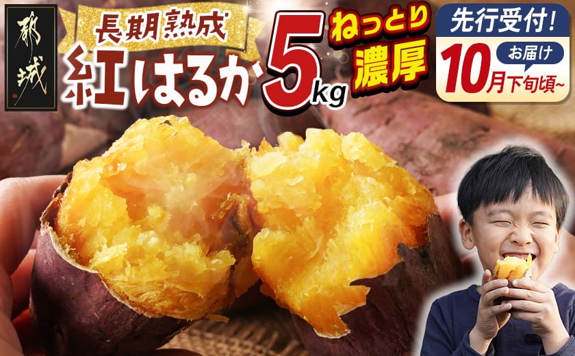 
                  【先行受付】都城産 長期熟成紅はるか 5kg≪2026年10月下旬頃より順次お届け≫_AA-I2-001-5kg-10_(都城市) 都城産さつまいも 熟成紅はるか 5kg 長期熟成 スイーツ
                