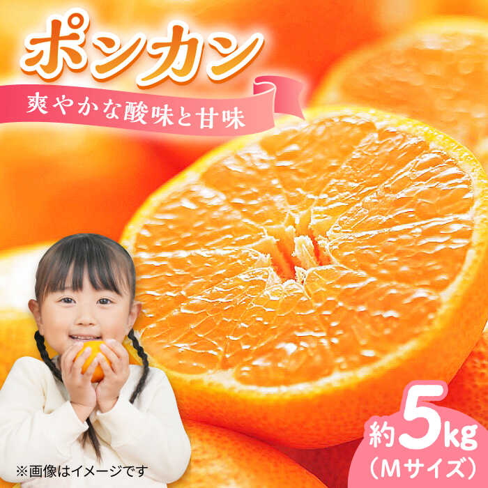 【ふるさと納税】【期間限定】ポンカン 5kg みかん 蜜柑 ミカン 果物 くだもの フルーツ みかん ミカン オレンジ 蜜柑 柑橘 先行予約 ジュース 果実 甘味 酸味 ギフト 広島県産 人気 送料無料 江田島市/小原農園[XCE012]
