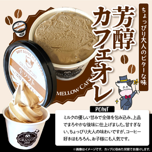 生ソフトクリーム【芳醇カフェオレ】 計10個【GRANGE280】