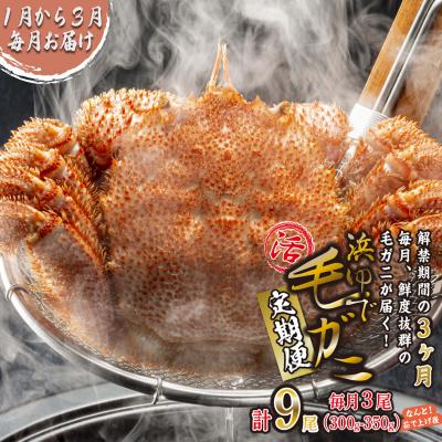 ふるさと納税 新ひだか町 &lt;2026年2月上旬から順次発送&gt;【定期便全3回】北海道産浜ゆで毛ガニ 3尾×3回 &lt;先行受付&gt;
