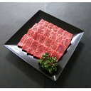 【ふるさと納税】A5等級飛騨牛:赤身肉焼肉用500g　モモ又はカタ肉【配送不可地域：離島】【1539485】