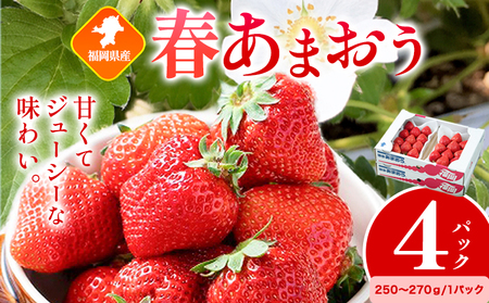 福岡県産 春あまおう 4パック 南国フルーツ株式会社《2月上旬-3月末頃出荷》福岡県 小竹町 あまおう いちご イチゴ 送料無料【配送不可地域あり】