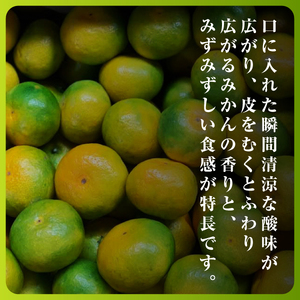 まもなく収穫! 極早生みかん 5kg【C31-15】【1042517】 YWTAC007