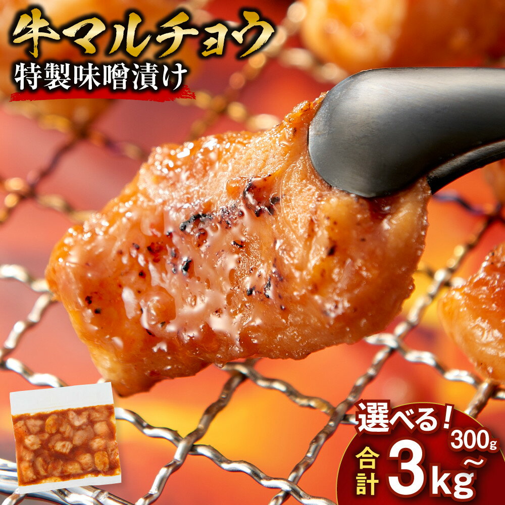 【ふるさと納税】牛マルチョウ 味噌漬け 300g ～ 3kg | とろける脂 小分け 使いやすい 味付き 調理便利 野菜炒め ホルモン炒め 訳あり 不揃い 小腸 冷凍 容量選択可 配送時期が選べる 個包装 冷凍保存 アウトドア キャンプ おすすめ 人気