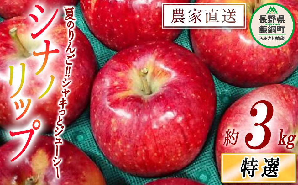 
            りんご シナノリップ 特選 3kg やまじゅうファーム 沖縄県への配送不可 2025年8月中旬頃から2025年9月上旬頃まで順次発送予定 令和7年度収穫分 信州の環境にやさしい農産物 減農薬栽培 長野県 飯綱町 [0850]
          