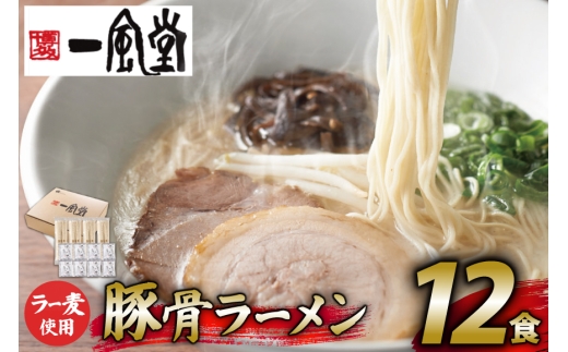 ラーメン 一風堂 とんこつラーメン 白丸 ラー麦麺 スープ 12食 セット [地域商社ふるさぽ 福岡県 筑紫野市 21761444] 博多 福岡 らーめん ラー麦 とんこつ 豚骨 博多ラーメン 豚骨ラーメン 白丸ラーメン